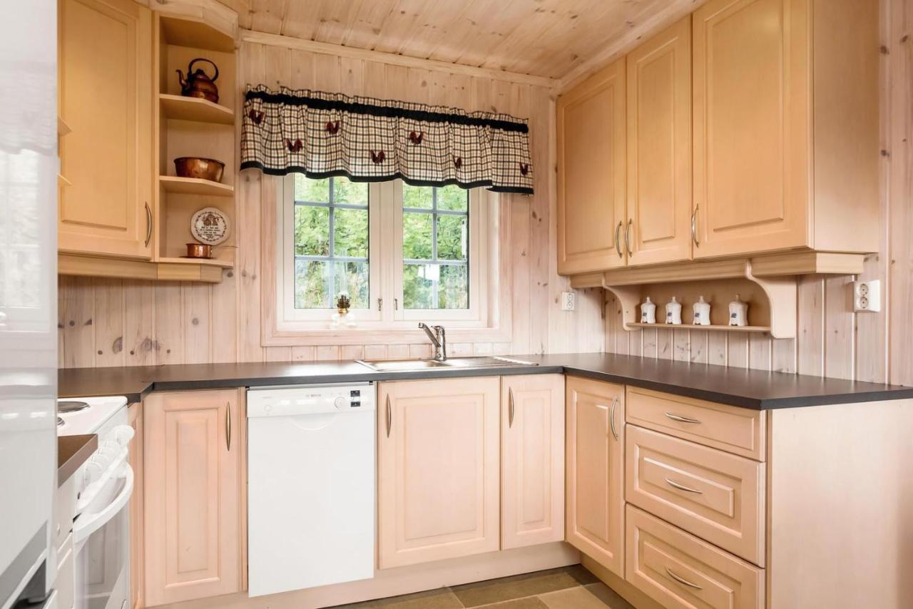Reveenka - Cabin In Trysil With Jacuzzi For Rent Εξωτερικό φωτογραφία