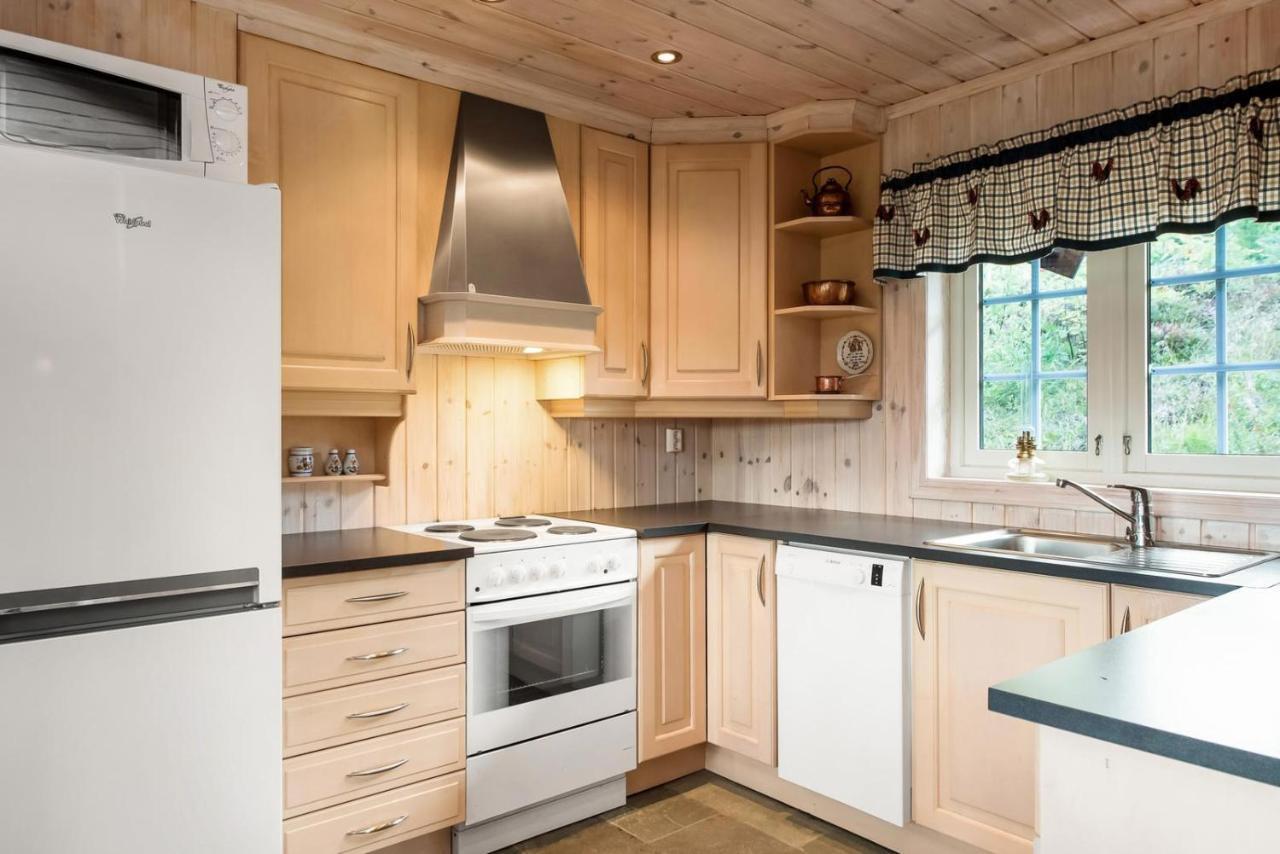 Reveenka - Cabin In Trysil With Jacuzzi For Rent Εξωτερικό φωτογραφία