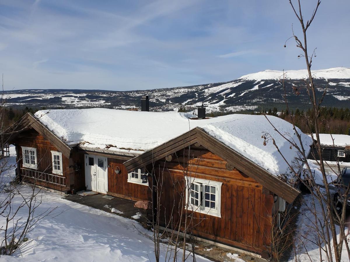 Reveenka - Cabin In Trysil With Jacuzzi For Rent Εξωτερικό φωτογραφία