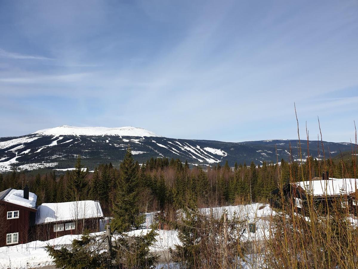 Reveenka - Cabin In Trysil With Jacuzzi For Rent Εξωτερικό φωτογραφία