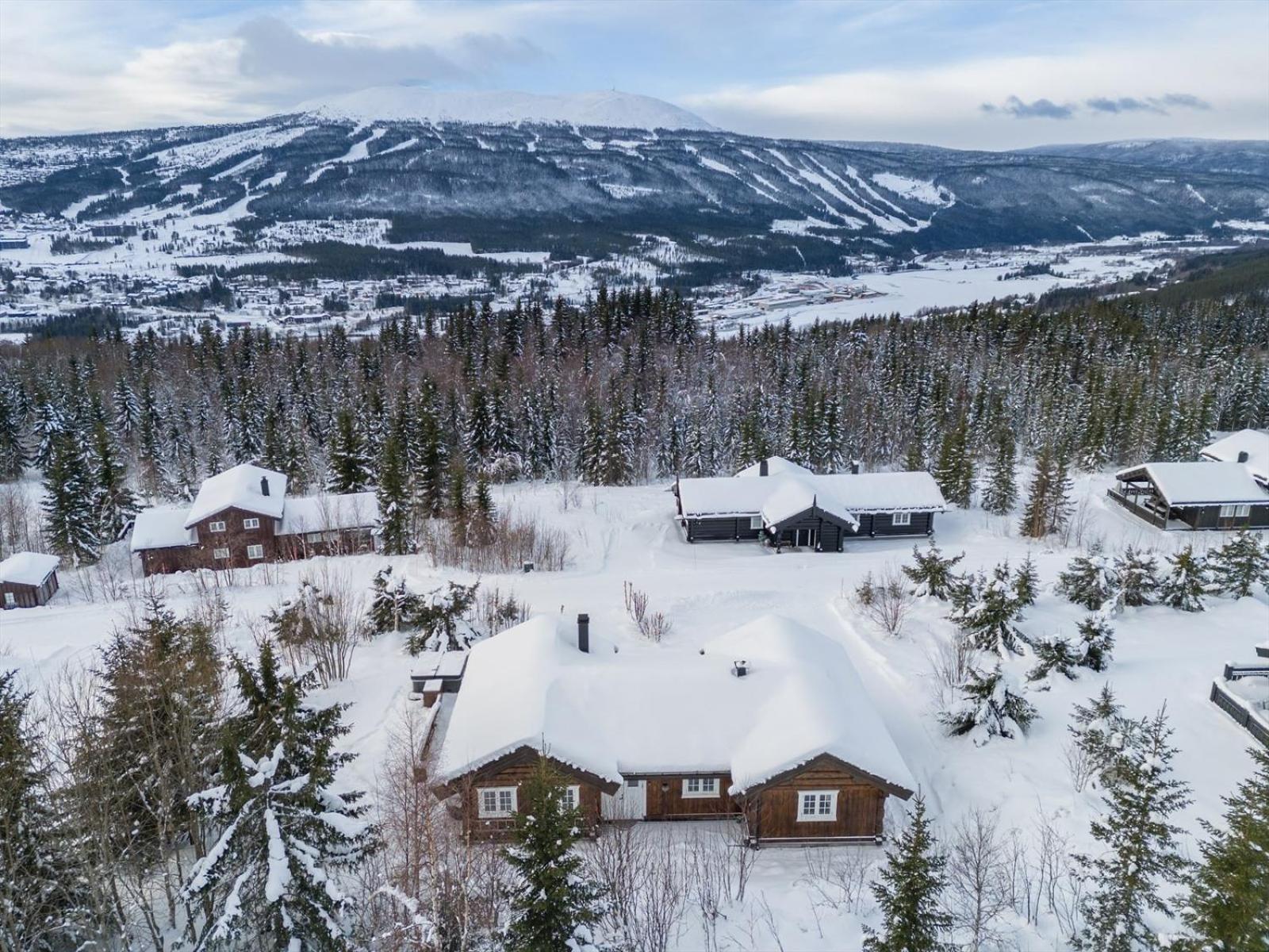 Reveenka - Cabin In Trysil With Jacuzzi For Rent Εξωτερικό φωτογραφία