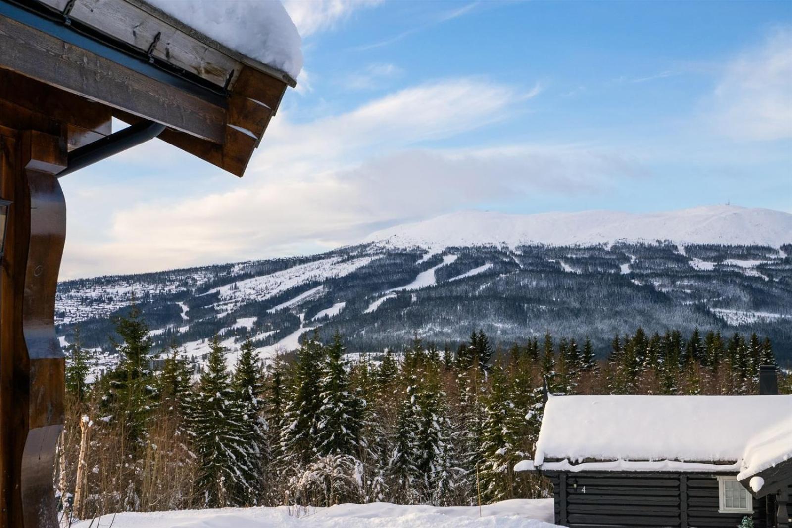 Reveenka - Cabin In Trysil With Jacuzzi For Rent Εξωτερικό φωτογραφία