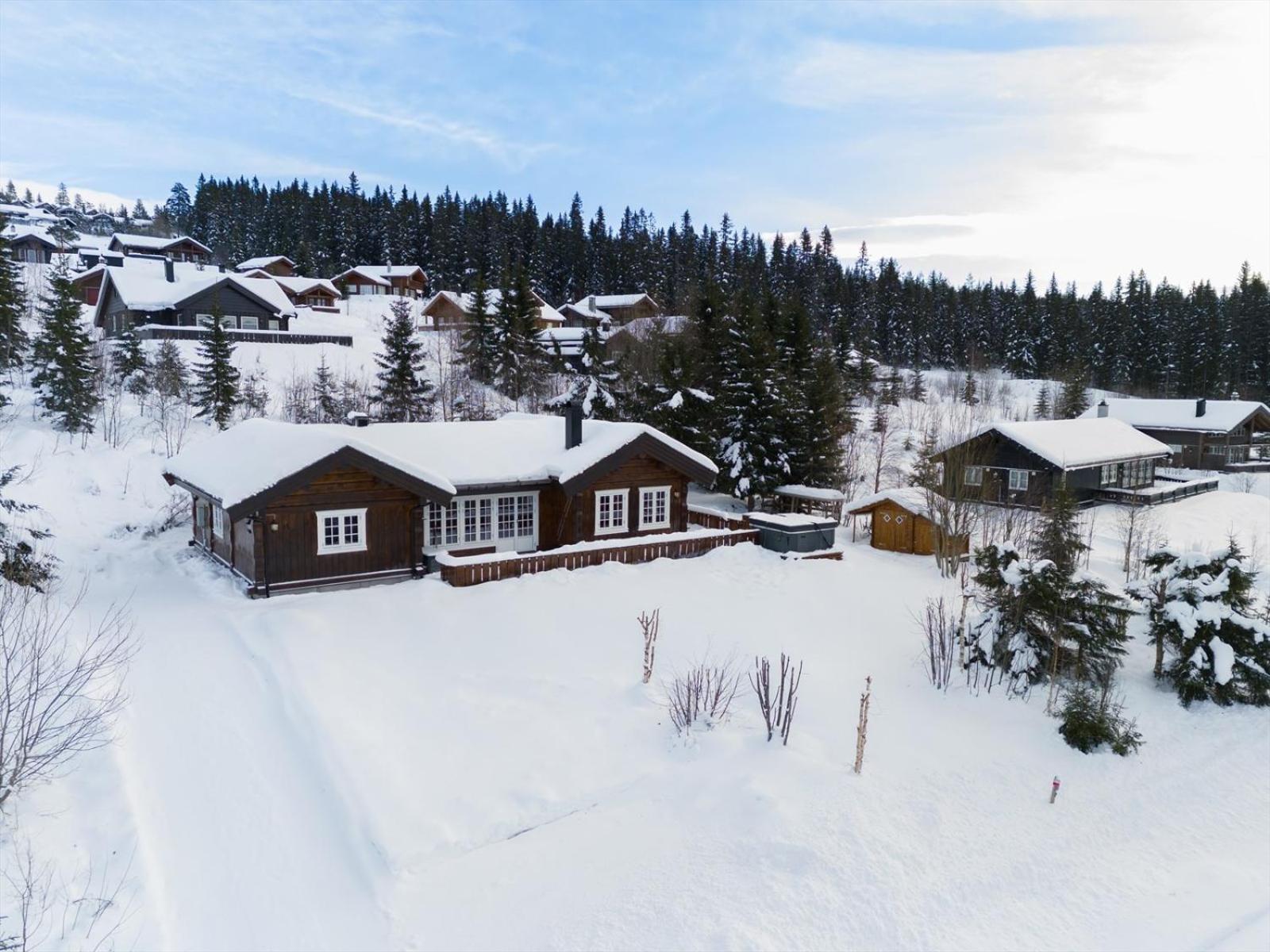 Reveenka - Cabin In Trysil With Jacuzzi For Rent Εξωτερικό φωτογραφία